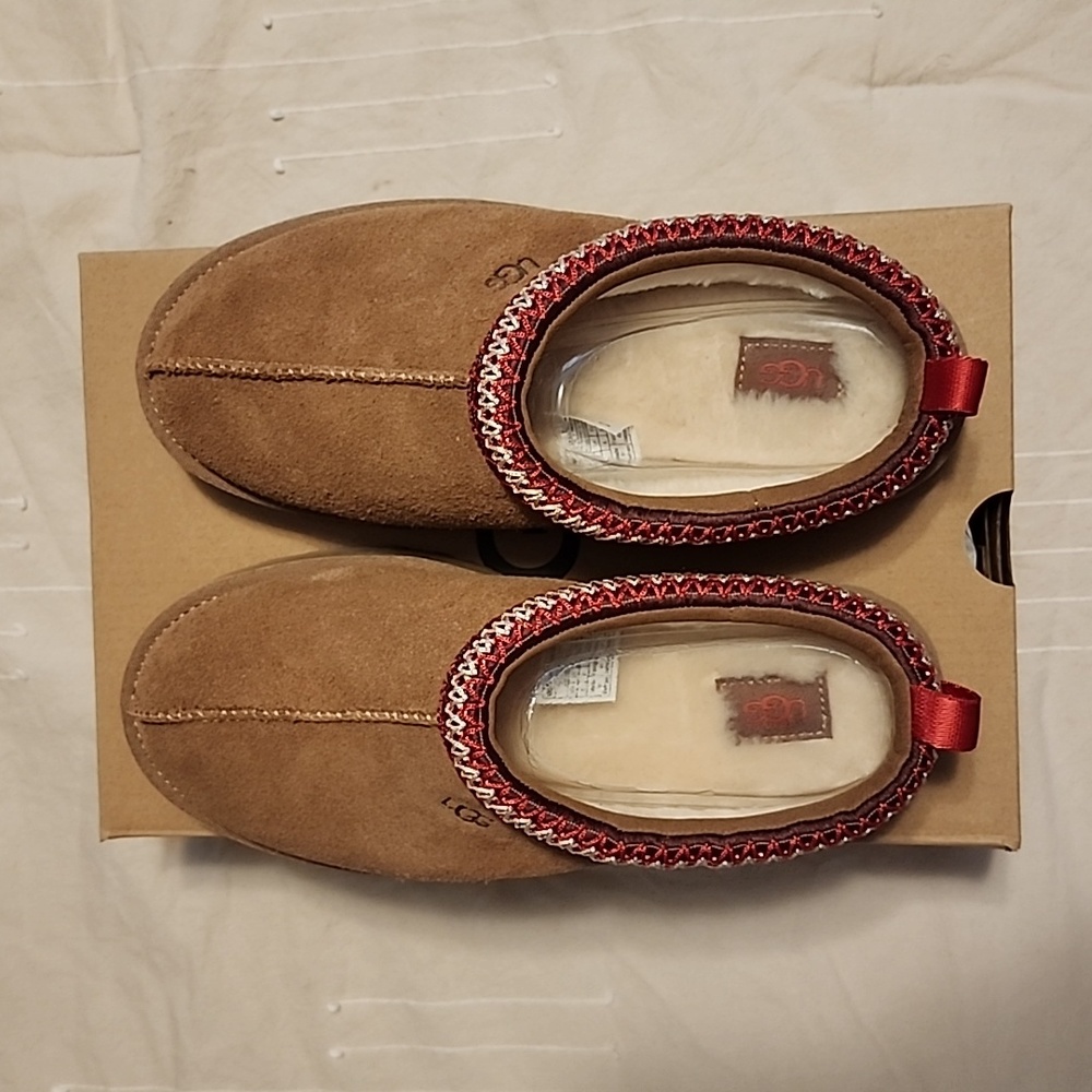 Ugg Tazz Suede Platform Slippers